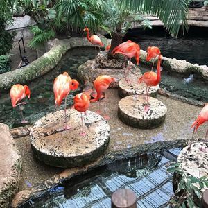 Meet your Posher, Jolene